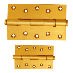 Brass Hinges